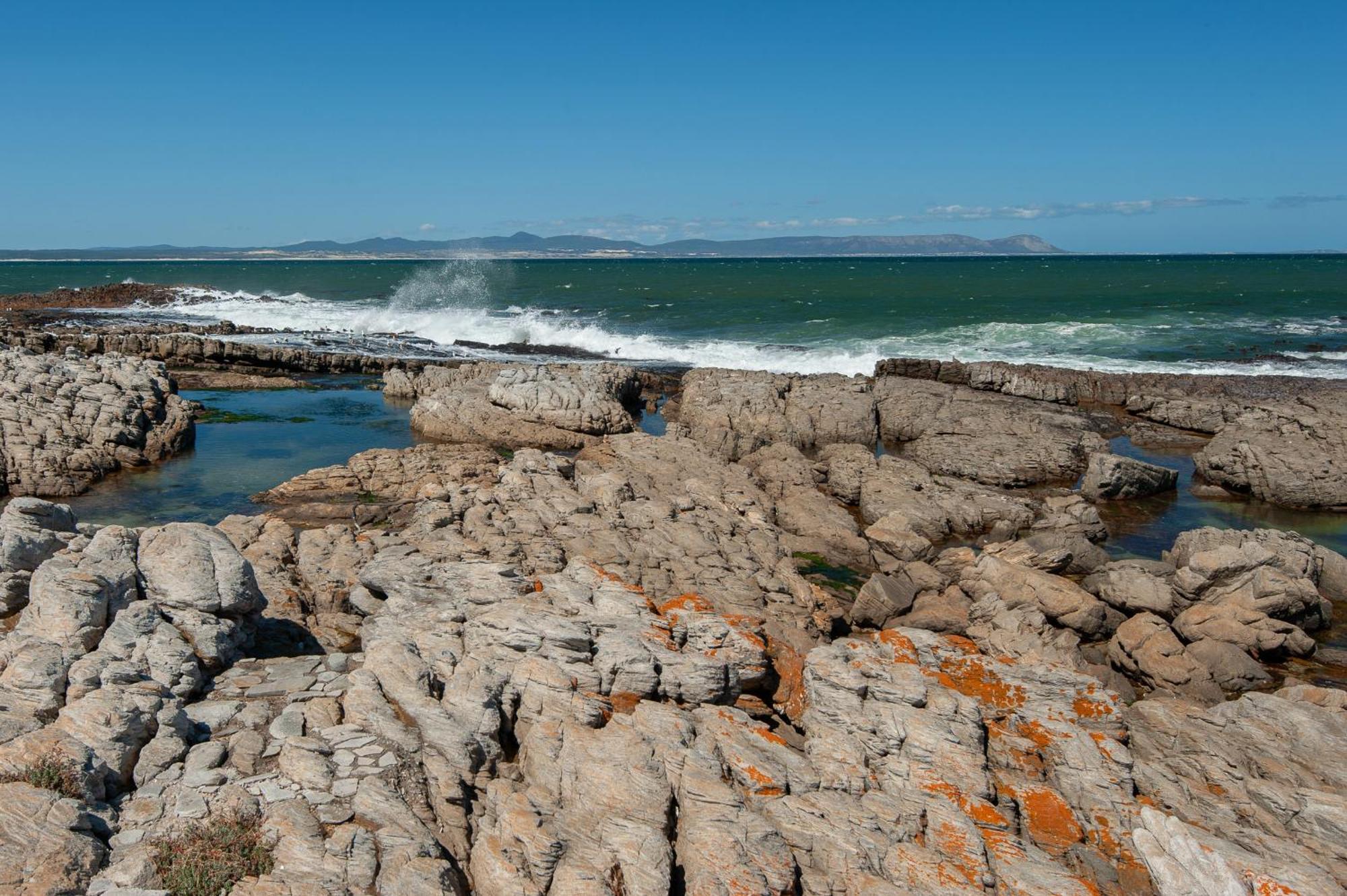 63 Whalerock Estate Apartman Hermanus Kültér fotó